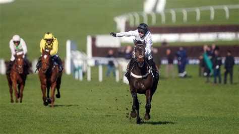 cheltenham festival champion hurdle|Cheltenham Festival 2023 LIVE: Constitution Hill wins Champion .